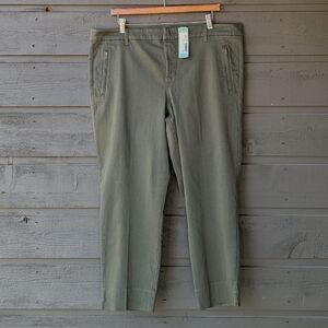 NWT Level + Francis Capri Straight Leg Pant Olive Green Size 16W Stretchy!